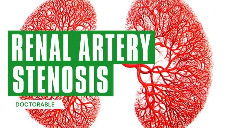 renal-artery-stenosis-definition-and-overview-doctorable